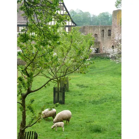 Herrenhaus Wulmersen Apartmán Trendelburg